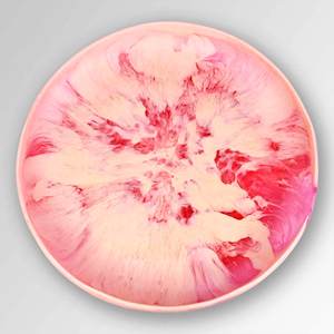 Bol à dessert en résine rose coquillage, design dinosaure, fait à la main, poli, d'origine indienne, écologique, passe au lave-vaisselle, pour les fêtes - Product Image 5