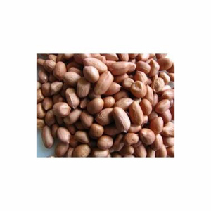 Vente en gros d'arachides fraîches séchées biologiques de haute qualité pour les collations de l'industrie alimentaire transformées en grandes quantités - Product Image 4