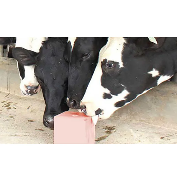 Protein Food Best Quality Animal Salt Lick Cattle Horse Dog Cow Sheep Goat Compressed Lick Salt 2-5kg & 3-5kg custom logo