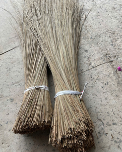 Baguettes de noix de coco séchées Matière première durable pour le balai et l'artisanat - Product Image 1