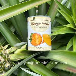 เวียดนามส่งออกคุณภาพมะม่วงทองในที่มีน้ำหนักเบาหรือน้ำเชื่อมผลไม้กระป๋องเขตร้อนจากเวียดนาม - Product Image 2