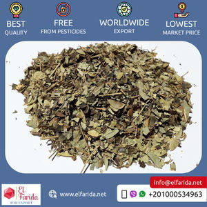 Herbes de feuilles de séné égyptien de haute qualité séchées épices simples au prix de gros - Product Image 2