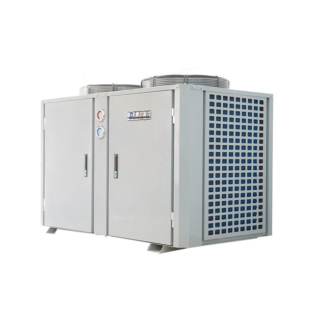 New Type Copeland Compressors Optimal High Efficiency Low Energy Cold Room Refrigeration Unit for Cold Storage Seafood