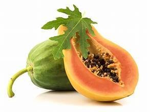 PAPAYA MADURA SECA A BASE DE PLANTAS CON EXTRACTO DE CATAPPA FORMULADO PARA APOYO A DIETA DE ALIMENTOS INTELIGENTES - Product Image 2