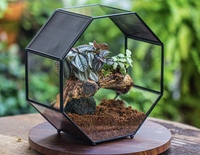 Terrarium de table en verre fait main, avec grille métallique noire pour une meilleure aération des plantes