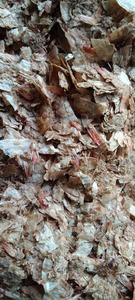 Dried Shrimp Shells Are Used to <b>Extract</b> Chitosan From Vietnam in Large Quantities - Product Image 3