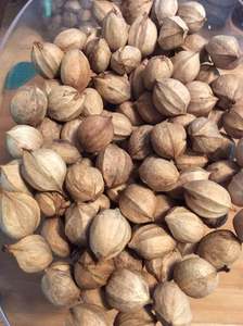 Nueces de nogal, nueces de nogal sin cáscara crudas directas a la venta - Product Image 3