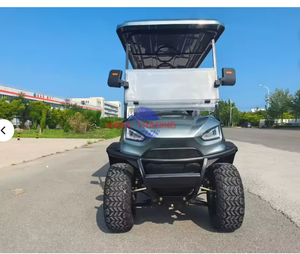 Carrito de Golf Eléctrico Personalizable con Certificación CE, de Aluminio, 8 Plazas, con Batería de Litio - Product Image 3