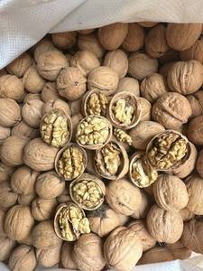 Núcleos de Nuez Pelados Premium, Mitades Extra Ligeras, Grado A, Suministro a Granel, Calidad de Exportación, Nueva Cosecha - Sra. Tarina - Product Image 5