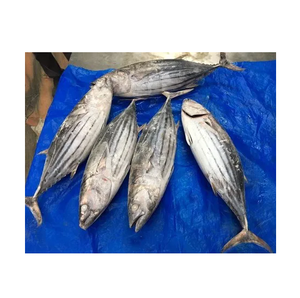 Pescado Premium, Atún Skipjack Entero Congelado - Product Image 3