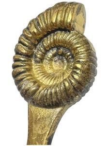 Abrebotellas de metal fósil de latón AK en pieza de diseño único con acabado antiguo para acentos de bar/vajilla - Product Image 5