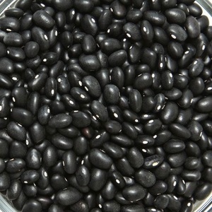 Fournisseur en gros de haricots noirs riches en protéines, propres et naturels, provenant de Turquie, durée de conservation de 2 ans - Product Image 3