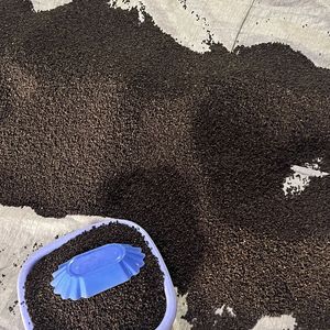 ESPECIAS CALIENTES NATURALES PURAS PIMIENTA AL POR MAYOR 100% FAQ ASTA BOLD 500 550G/L ALTA CALIDAD Mr. Glory Ngo (+ 84) 570 369 912 901 - Product Image 5