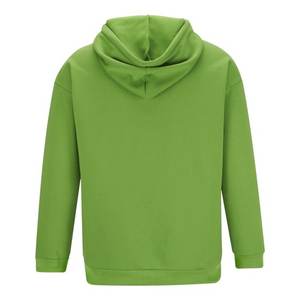 16.9oz 480gsm poids lourd coton Plus velours pull à capuche hommes épaissi serré polaire pull à capuche femmes sweat - Product Image 1