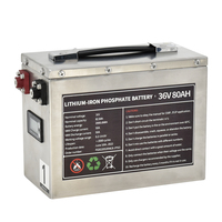 Paket Baterai Lithium Ion 36 Volt untuk Kapal Laut Akku 36v 40ah 50ah 60ah 80ah 100ah 200ah Lifepo4 Baterai Motor Trolling