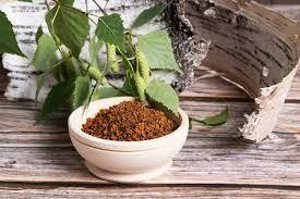 Extrait de Chaga Naturel en Vrac Qualité Exportation Produit à partir de Champignon Inonotus Obliquus Source pour Usage Alimentaire et Botanique - Product Image 5