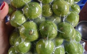 IQF Frozen Dracontomelon Entero y en Rodajas Envasado al Vacío para Exportación - Product Image 6