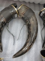 Corne à boire viking en buffle naturel de qualité supérieure à 100 % avec bordures en laiton et étuis en cuir à bas prix Agate
