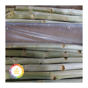 แท่งอ้อยแช่แข็ง IQF-สินค้าจำนวนมากสำหรับโซ่ปั่นและผู้นำเข้าอาหารทั่วโลก - Product Image 1