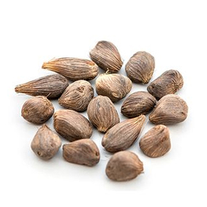 Natural Raw <b>Peanut</b> Kernels Long-Round Ground Nut Without Shell HALAL Certified High-quality Grade a Nuts & Kernels - Product Image 6