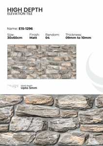 Carreaux muraux en porcelaine 300x600mm, finition extérieure - Product Image 4