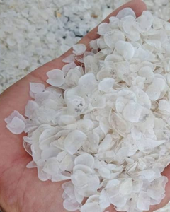 MATERIA PRIMA DE ESCAMAS DE PESCADO / SUMINISTRO ESTABLE PARA EXPORTACIÓN DESDE VIETNAM - Product Image 6