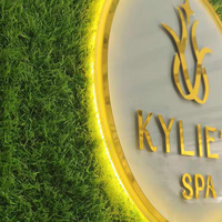 Logo d'entreprise en métal 3D personnalisé, acrylique blanc/transparent, étanche IP65, enseigne au néon rétroéclairée pour salons de beauté, salons de coiffure, entreprises