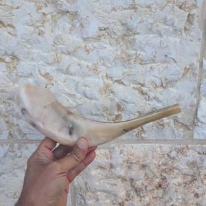 เขาแกะธรรมชาติขัดเงา ชอฟาร์ ของตกแต่งบ้านทางศาสนา เป็นมิตรกับสิ่งแวดล้อม คุณภาพสูง - Product Image 1