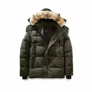 Chaqueta de Invierno para Hombre, Talla Grande, con Capucha, de Lona, con Logotipo Frontal, Relleno Grueso, Transpirable, de Secado Rápido, Estilo Urbano, Venta al Por Mayor, Alta Calidad - Product Image 5