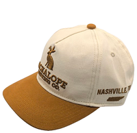 Casquette de baseball en denim 100 % coton BD marron, visière incurvée réglable, style hip-hop, décoration boutonnée, pour sports de plein air et fêtes, 56-58 cm