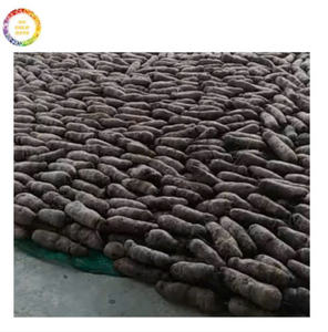 L'igname violette IQF fabriquée au Vietnam est maintenant expédiée dans le monde entier avec des prix compétitifs pour les restaurants alimentaires par 99 Gold Data - Product Image 4