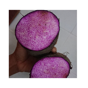 Ăn uống lành mạnh ngon miệng và tiện lợi với Yam đông lạnh chất lượng hàng đầu của chúng tôi/thành phần hoàn hảo cho bất kỳ Bữa Ăn Nào - Product Image 4