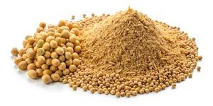 Harina de Soja Premium de Calidad de Exportación al por Mayor, Alimento con Alto Contenido de Proteína para Caballos, Ganado, Cerdos y Peces, 24 Meses de Vida Útil - Product Image 5