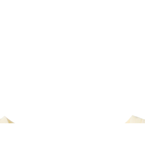 เสื้อยืดเด็กพิมพ์ลาย Aren't You Curious Kids' ผ้าฝ้ายถัก ไซส์ 6-7 สีขาวนวล พิมพ์ลายโลโก้ตัวอักษร สไตล์ลำลอง แขนสั้น - Product Image 2