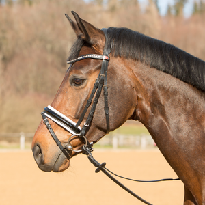 Bride équestre brevetée conçue avec un confort de pièce de couronne rembourré doux avec un design de dos coupé pour un confort d'oreille supplémentaire. - Product Image 3