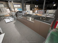 Grande armoire de cuisine moderne d'extérieur en acier inoxydable résistant aux intempéries avec portes vitrées, robinet, charnière, évier, prête à l'emploi pour appartement