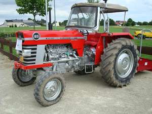 Tracteurs Massey Ferguson 165 Multipower d'occasion à vendre - Product Image 4