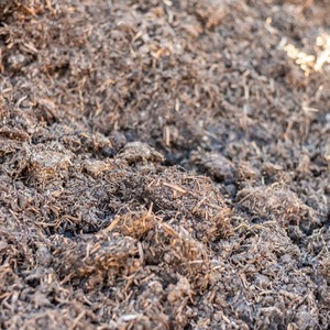 Chất Lượng Cao Cấp Bông Hạt Giống Hull Cho Gia Cầm Và Gia Súc Bông Hạt Giống Hull Bán Buôn Số Lượng Lớn Cho Ngành Công Nghiệp Thức Ăn Chăn Nuôi - Product Image 2