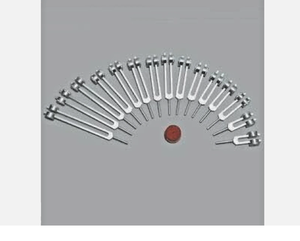 Ensemble de diapasons pour organes humains lestés avec activateur et pochette et livraison gratuite... - Product Image 5