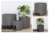 Meilleures ventes : Pots de fleurs en ciment du Vietnam, design moderne, couleur/taille/forme personnalisées, logo personnalisé, OEM/ODM, décoration pour la maison et le jardin