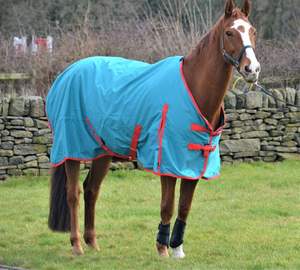 Hoja de lluvia ligera de 100g y cero 0g-Alfombra impermeable 600d Turnout Horse - Product Image 5