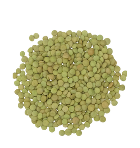 Lentejas Verdes Orgánicas Canadienses Baratas de Alta Calidad, Suministro a Granel en Austria para Procesamiento de Alimentos, Cocina, Exportación Global y Uso Mayorista - Product Image 1