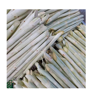 Vietnam produced Frozen Sugarcane Sticks soft <b>sweet</b> taste long storage and ready for beverage industrial applications - Product Image 3