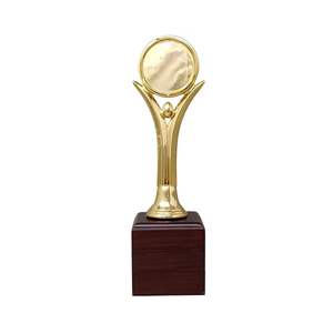 Coupe de trophée de cricket en métal pour le championnat, récompense sportive, cadeau commémoratif, objet de décoration - Product Image 1