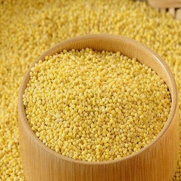 Органическое Экстра большое высушенное Просо для продажи