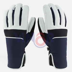Hot Selling Customized Ski Gloves OEM <b>Top</b> Demanding Hand Protective Latest Arrival Cheap Price Warm Ski Gloves for Skiing - Product Image 2