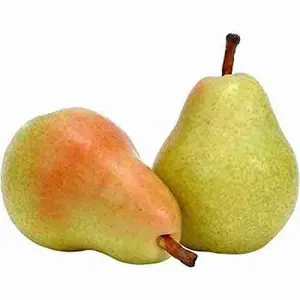 High Quality Wholesale Products Bulk Other For Exporters Products Cheaper Fresh Fruit Pear