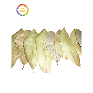 Feuilles de corossol séchées en provenance du Vietnam, thé de feuilles de graviola, feuilles de corossol séchées coupées, prix bas, haute qualité - Product Image 1