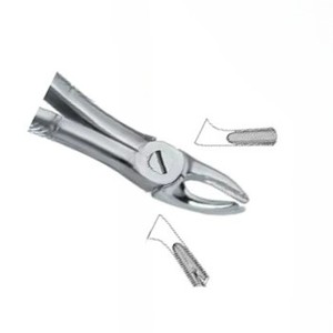 Forceps d'extraction dentaire Fig.39 L, manuel, en acier inoxydable de haute qualité, certifié CE, instruments dentaires avec logo personnalisé - Product Image 4