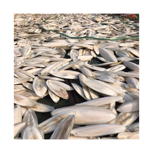 Os de seiche coupés et séchés avec fonction propre et sèche pour l'alimentation des animaux, fournissant des os de seiche séchés au Vietnam - Product Image 2
